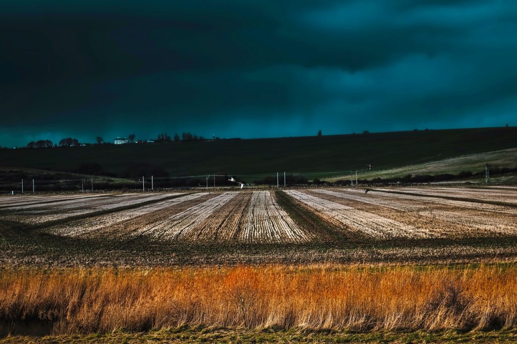 Imprevistos climáticos na lavoura: como fica o serviço e os empregados?